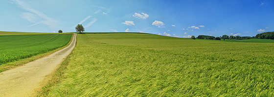 金沙js93252(中国)有限公司官网