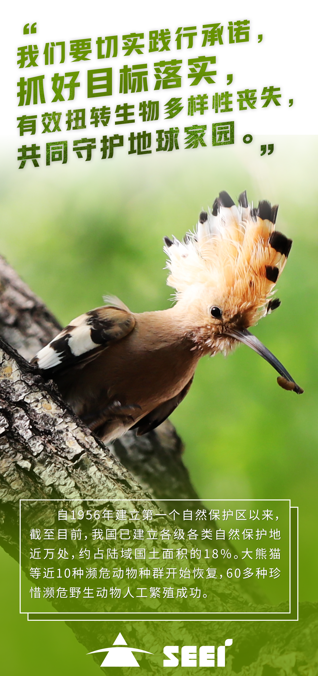 8北京清新-王玉山-抚育