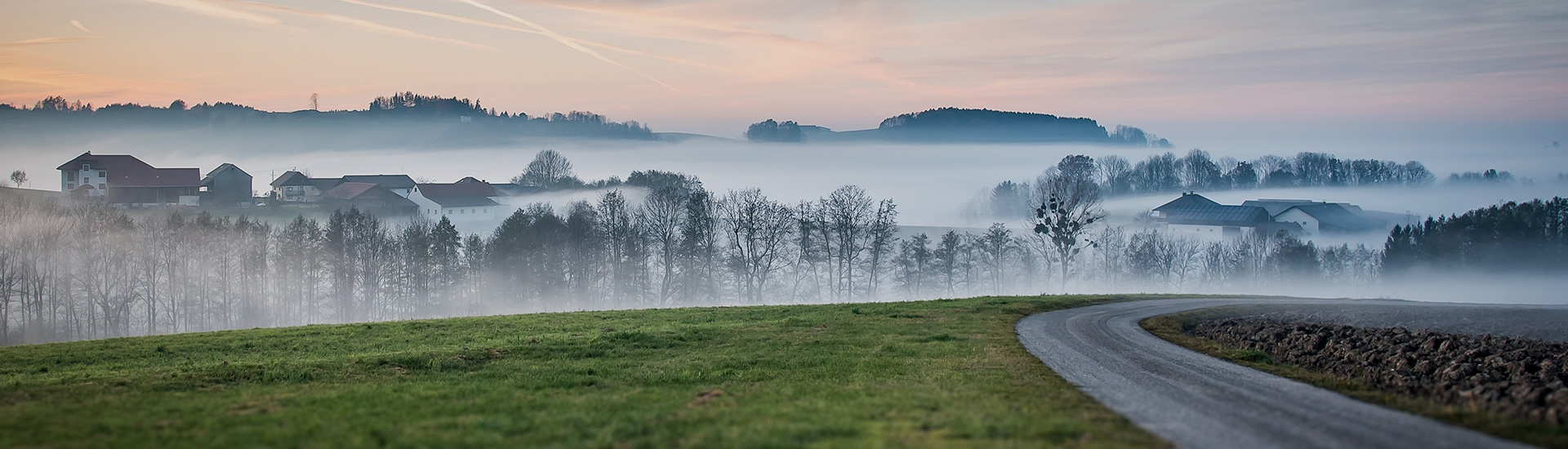 金沙js93252(中国)有限公司官网