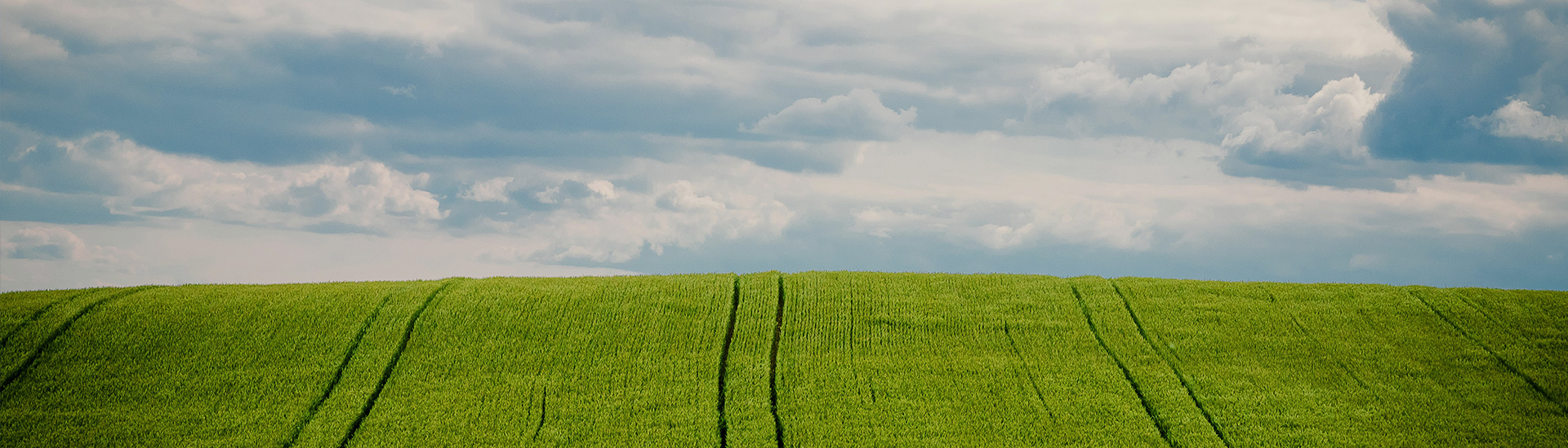 金沙js93252(中国)有限公司官网